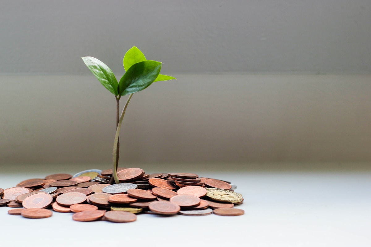 Coins illustrating FD interest growth